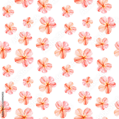 Wallpaper Mural Handpainted watercolor seamless pattern with yellow and red mallow flowers Abutilon on white background. Torontodigital.ca