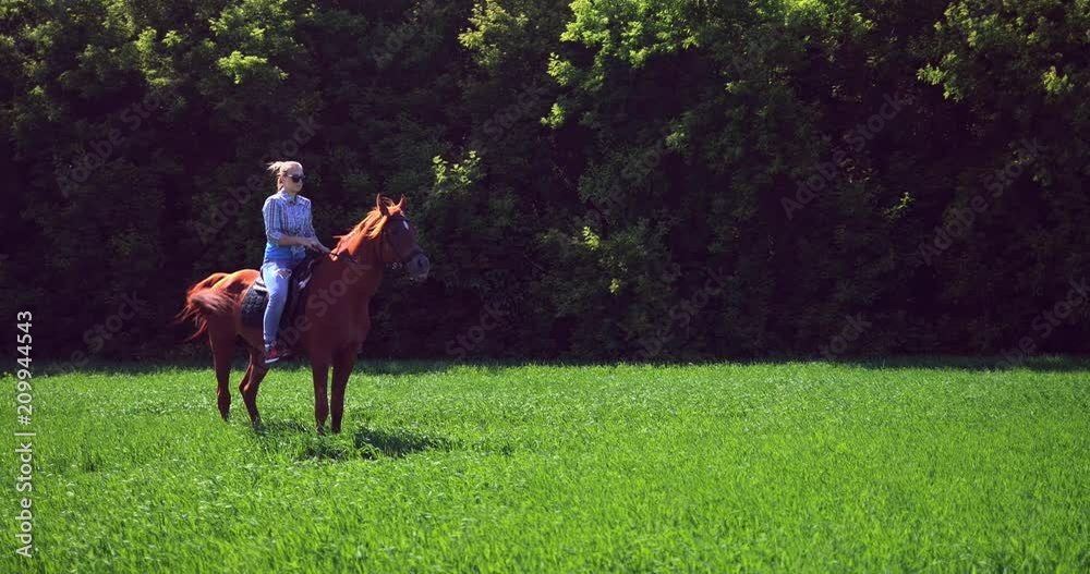 Girl riding horse in the field against the background of the forest. Slow motion Girl riding horse in the field against the background of the forest. Slow motion