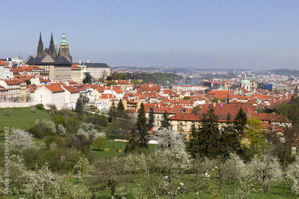View on the spring Prague City with the green Nature and flowering Trees, Czech Republic View on the spring Prague City with the green Nature and flowering Trees, Czech Republic