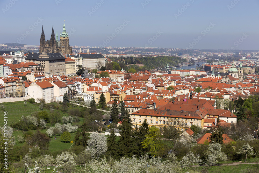 View on the spring Prague City with the green Nature and flowering Trees, Czech Republic