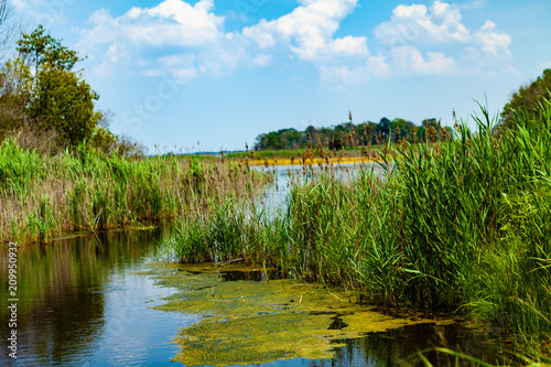 Delaware Marsh photo