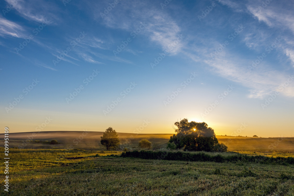 Fototapeta premium Sunrise over the field covered with fog.