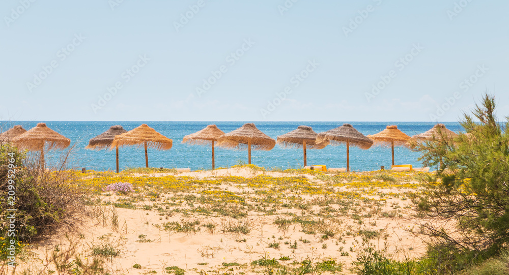 Traditional seaside algarve parasol in Vilamoura Traditional seaside algarve parasol in Vilamoura
