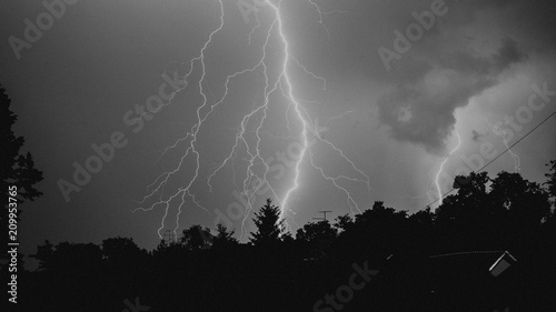 black and white lightning over trees