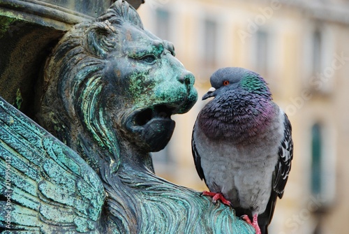 Pigeon and Statue Staredown photo