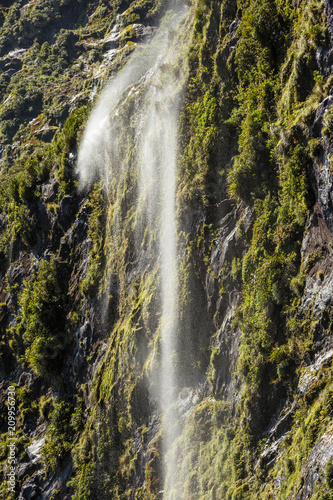 Waterfall at Milford Sound  Fiordland  New Zealand