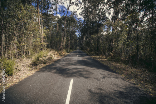Megalong Valley, Vanishing point Road, Blue Montains, NSW, Australia