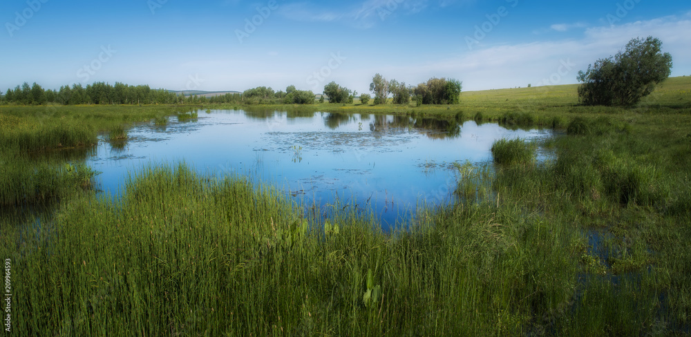 Obraz premium Summer landscape to Russia.