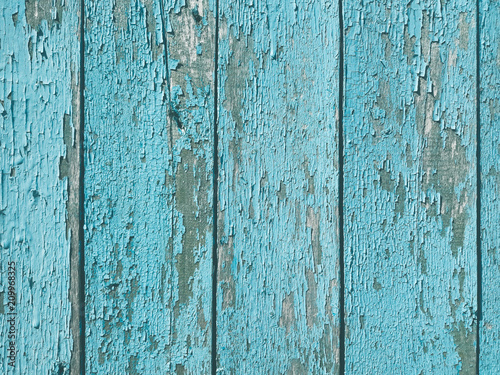 shabby old flaky wooden background. blue damaged crackled paint. weathered worn out surface. copy space concept