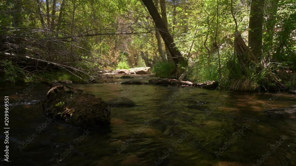 Tracking shot of a pristine mountain stream Tracking shot of a pristine mountain stream