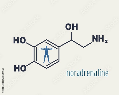 Chemical molecular formula hormone noradrenaline. Infographics illustration. Man silhouette