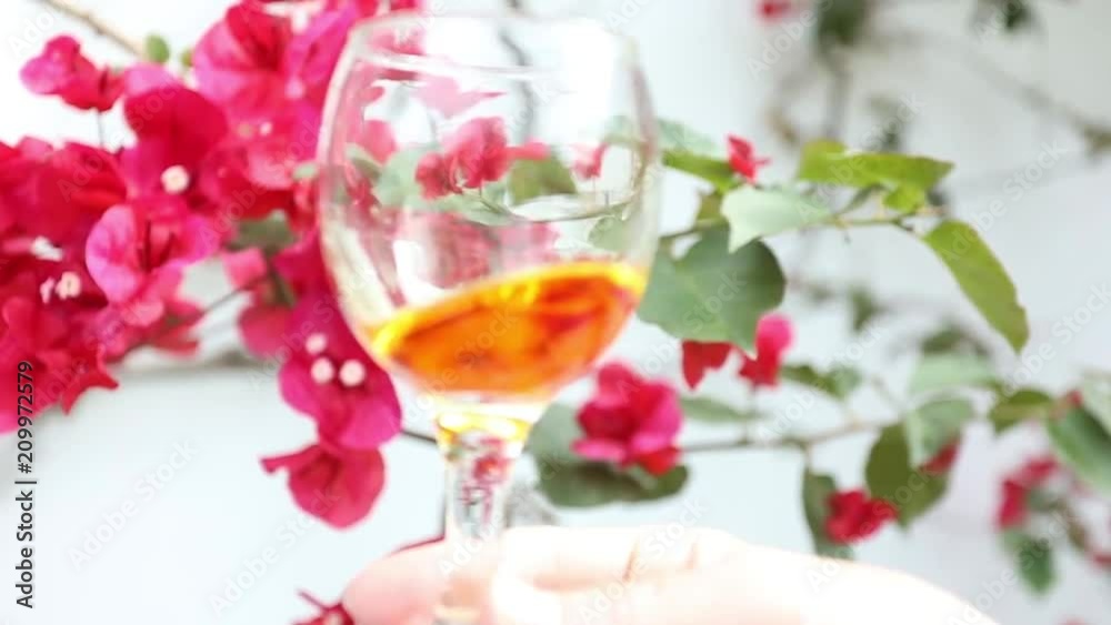 Shakes the wine, just uncorked in a glass, to look at the body of quality wine. Concept: wine, nature, somelier, nature, bio Shakes the wine, just uncorked in a glass, to look at the body of quality wine. Concept: wine, nature, somelier, nature, bio