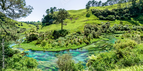 Blue Spring which is located at Te Waihou Walkway,Hamilton New Zealand. It internationally acclaimed supplies around 70% of New Zealand's bottled water because of the pure water.