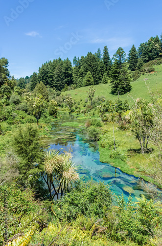 Blue Spring which is located at Te Waihou Walkway Hamilton New Zealand. It internationally acclaimed supplies around 70  of New Zealand s bottled water because of the pure water.