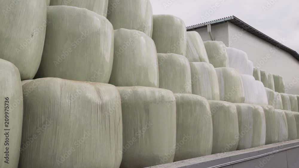 Three lines of huge filled bags with milled grain for flour placed on factory back yard