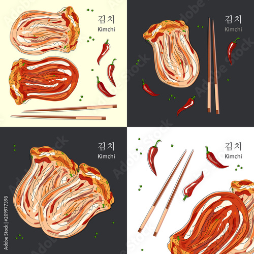 Kimchi (translate from korean - Salted and fermented Napa cabbage). Korean cuisine. Vector illustration.