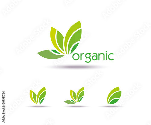 Abstract eco leaves Template logo  Design. Icon, Sign or Symbol, organic, farm, nature, ecology. Vector flat design