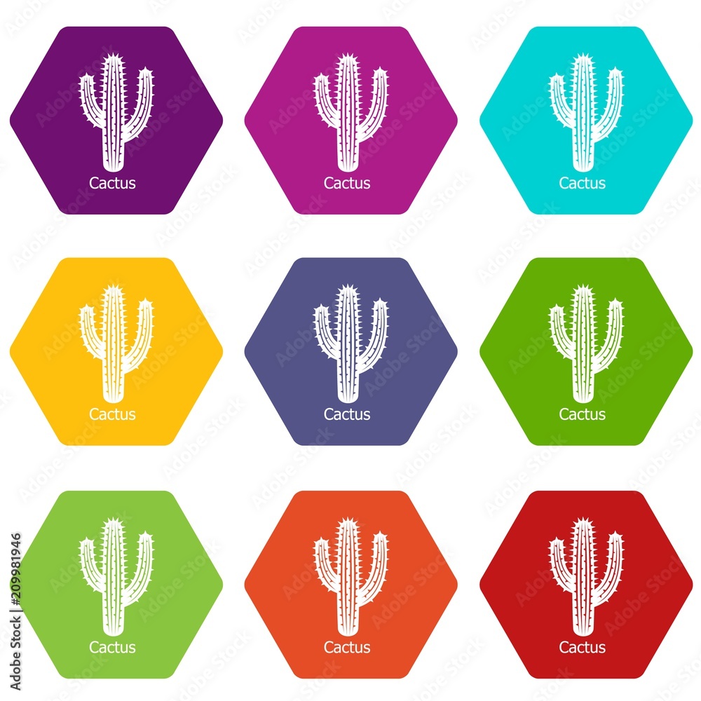 Cactus icons 9 set coloful isolated on white for web
