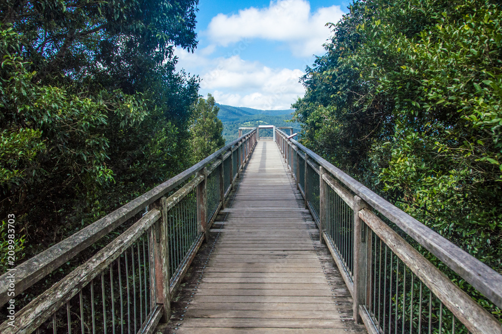 Lookout at National Park Dorrigo, rainforest centre skywalk