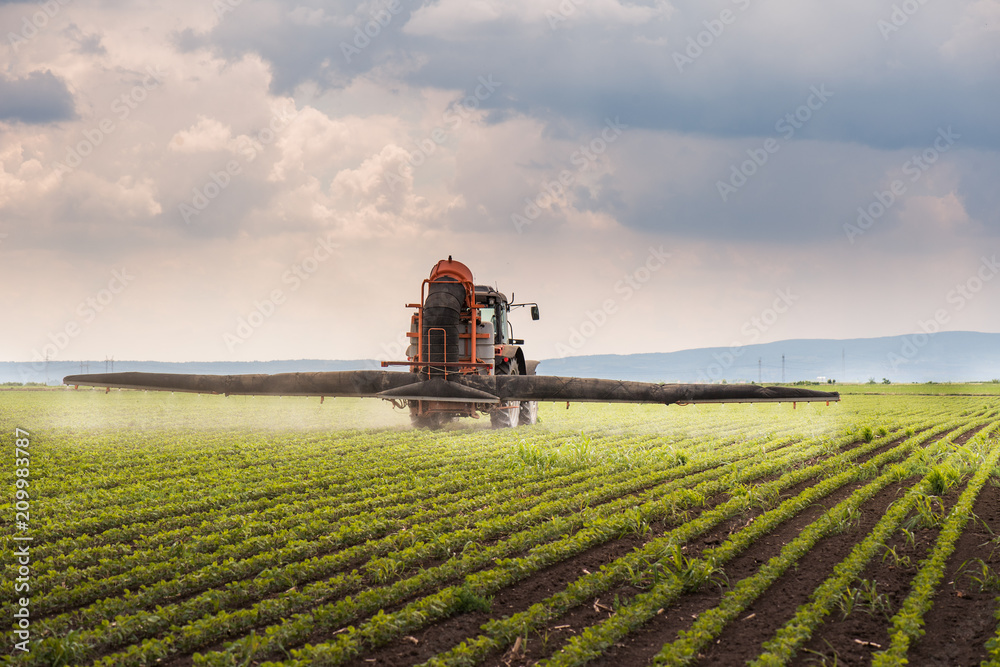 Tractor spraying pesticides on soybean field with sprayer at spring Tractor spraying pesticides on soybean field with sprayer at spring