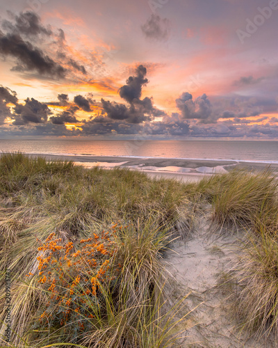 View from dune over North Sea sunset photo