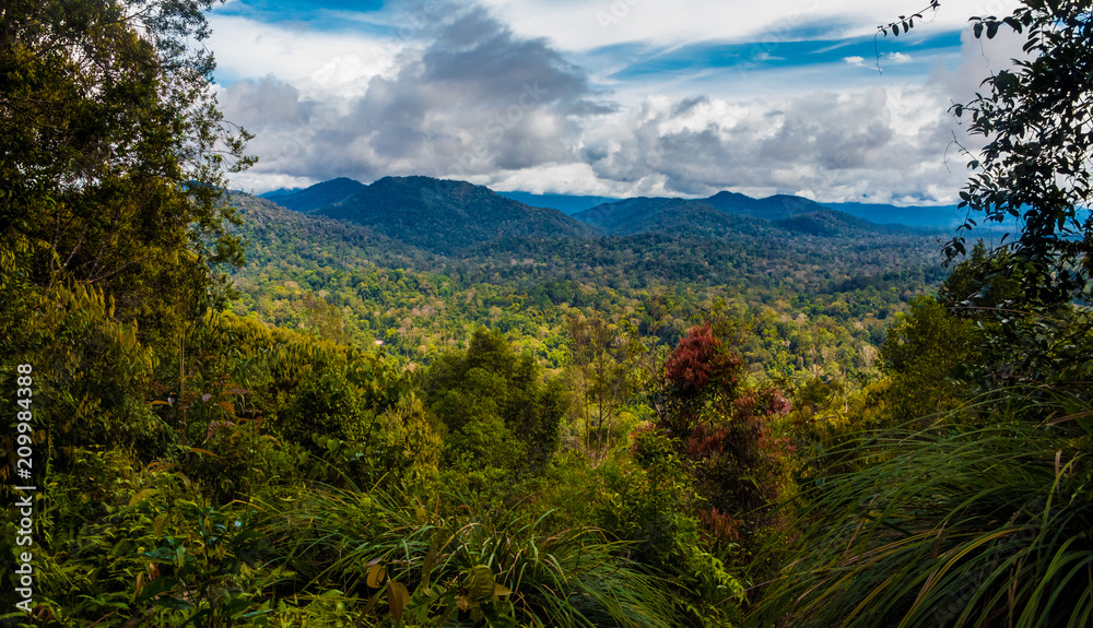The panoramic view on the higher second look-out of Teresek Hill gives a superb view to the north lowlands and hills to the high mountains in the centre of the Taman Negara National Park in Malaysia. The panoramic view on the higher second look-out of Teresek Hill gives a superb view to the north lowlands and hills to the high mountains in the centre of the Taman Negara National Park in Malaysia.