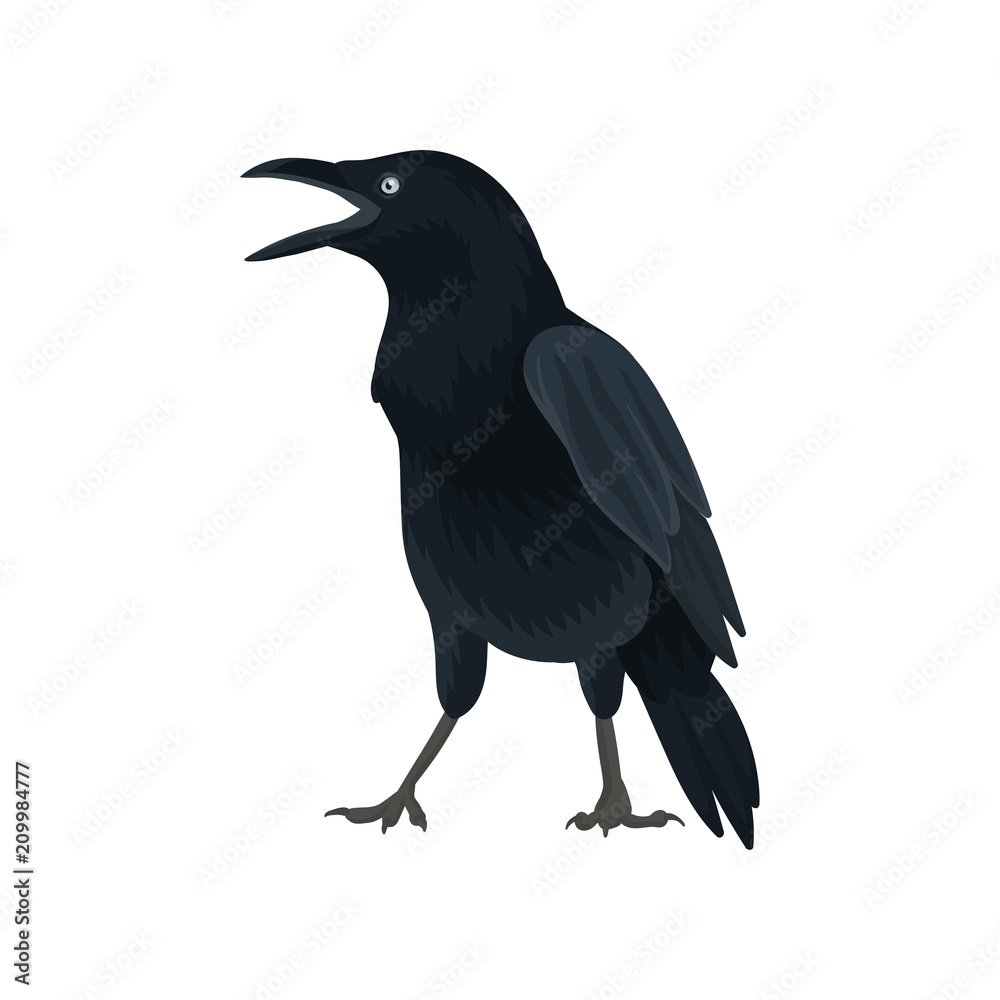 Fototapeta premium Detailed vector icon of raven. Large bird with black feathers and big beak. Wild feathered animal. Fauna theme. Element for poster of book
