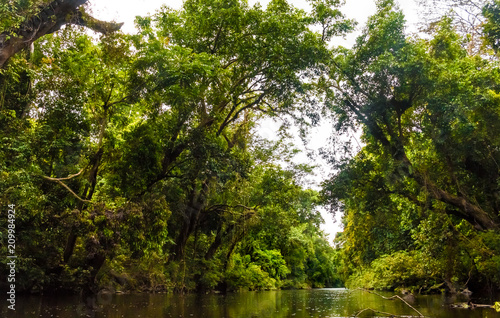 фотографія A beautiful scenery of Tahan River surrounded by Taman Negara's old rainforest and riverbanks with with huge, leaning Neram trees (Dipterocarpus oblong ifolius), forming an archway over the water