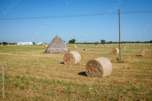 Field with drystone trullo hut and wheat stalk bales. Murgia countryside. Apulia, Italy