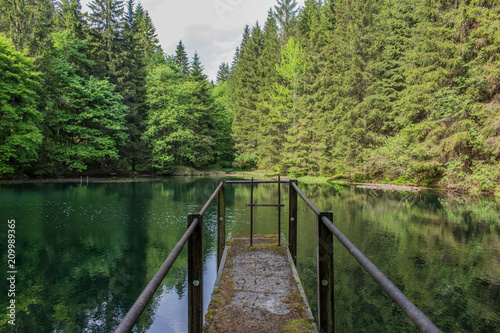 Pfanntalsteich in Oberhof/Thüringer Wald photo