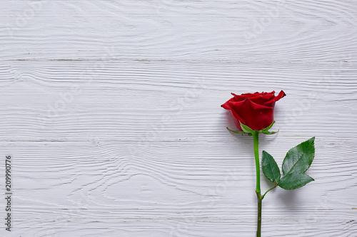 Red rose on the wooden table top. Minimalism and space for text, greeting or message