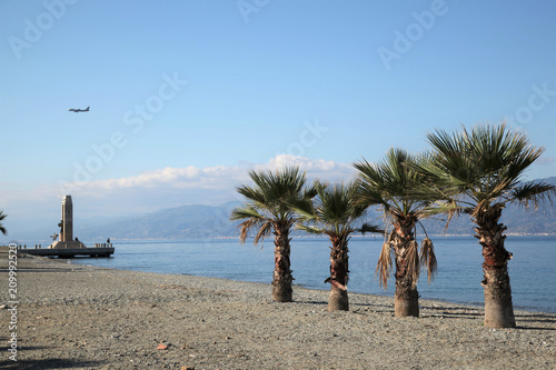 Palme in spiaggia sul lungomare di Reggio Calabria