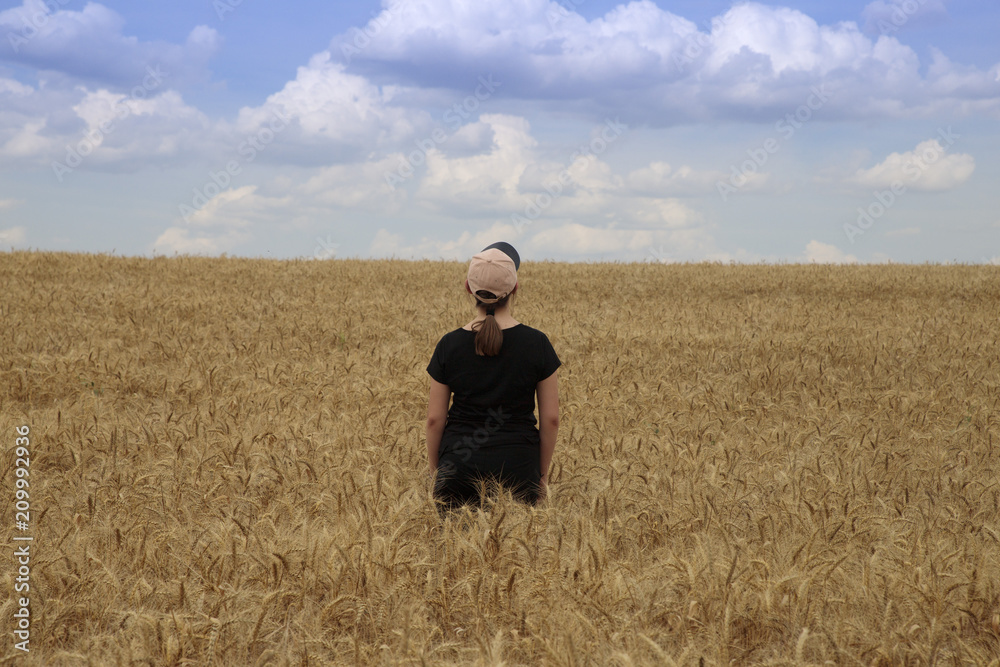 The wheat is ready for harvest The wheat is ready for harvest