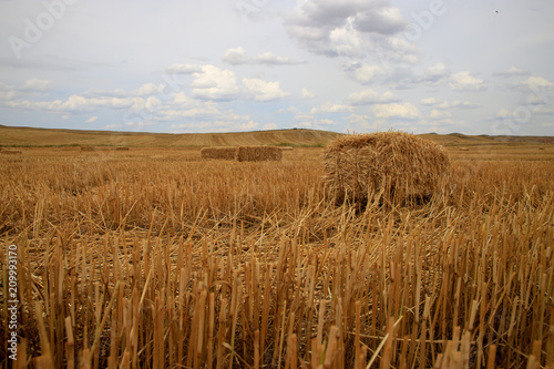 a haystack in a field in autumn
