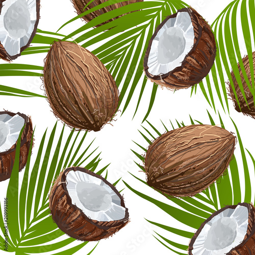Coconut with leaf. Natural fruit. Ornament of coconut fruits and palm leaves