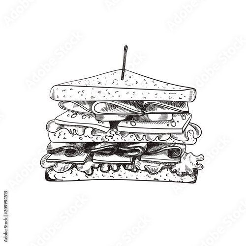 Vector Hand Drawn Sandwich with a Teethpick, Doodle Freehand Drawing, Sketched Food.