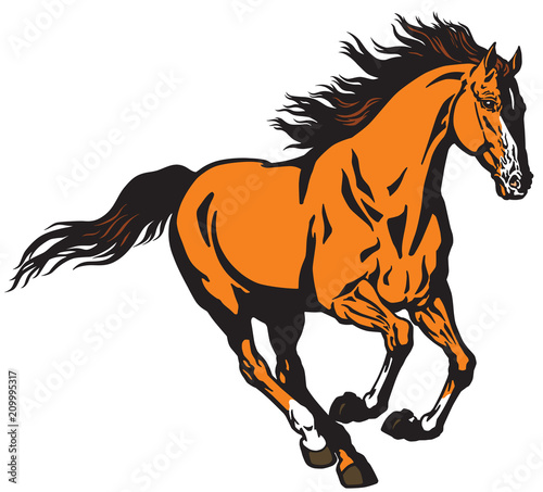 running wild stallion horse. Mustang in the gallop  .Isolated vector illustration
