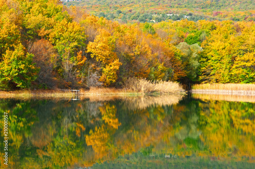 Fototapeta Naklejka Na Ścianę i Meble -  Autumnal landscape with lake
