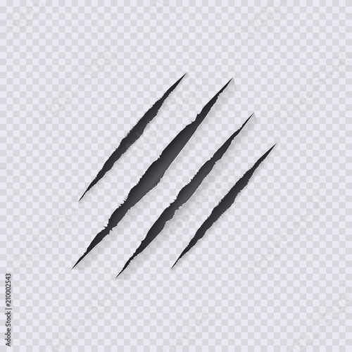 Vector Claws Scratches Illustration,Isolated on Transparent Background, Claws Scratching.  photo