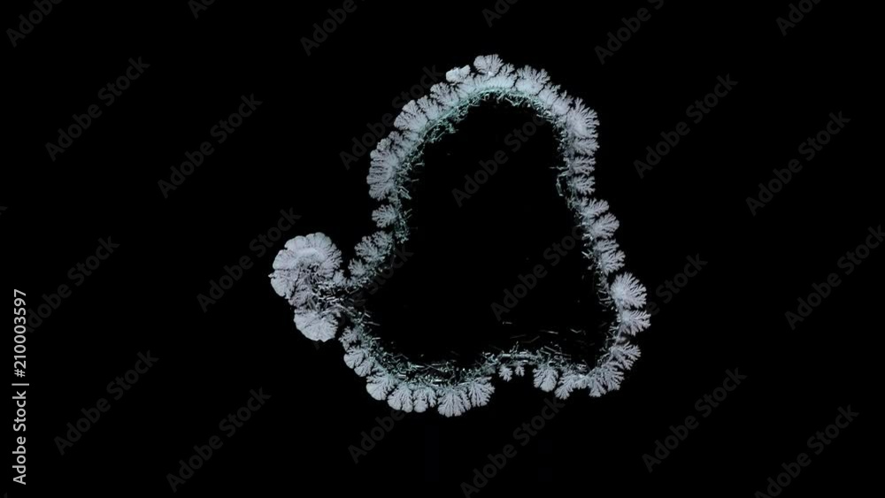 Drop drying with crystals growth. Drop drying with crystals growth.