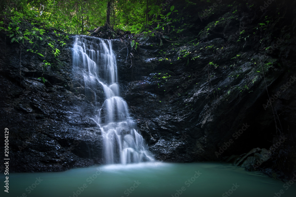 Obraz premium Waterfall in the forest