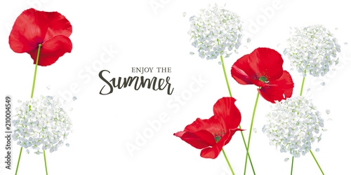 Luxurious bright red vector Poppy and Hydrangea flowers - paintings set on white background