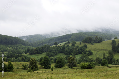 Forest in foggy mountains of Romania
