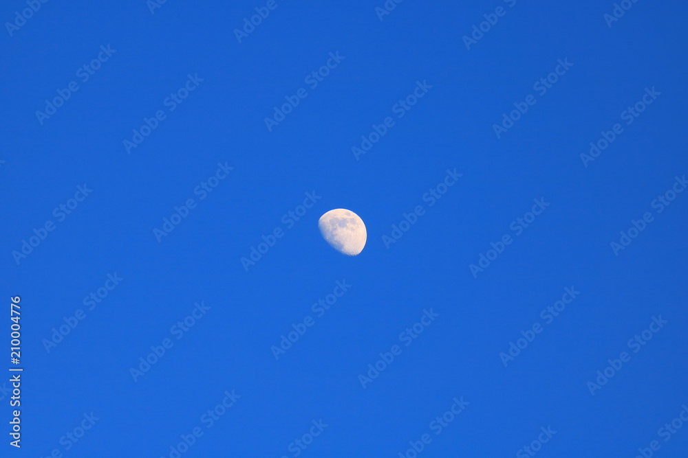 Moon Moon