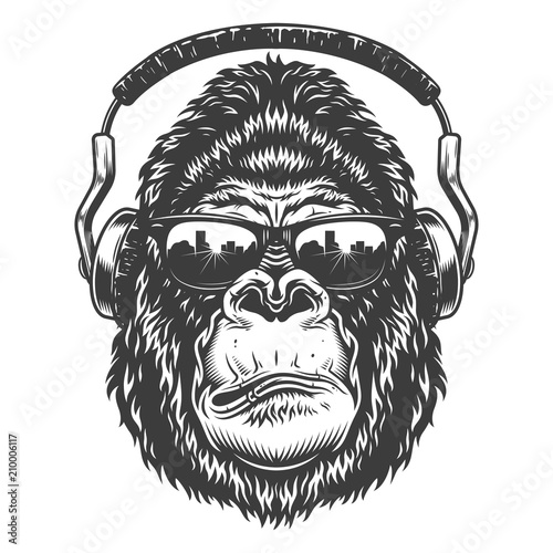 Head of gorilla