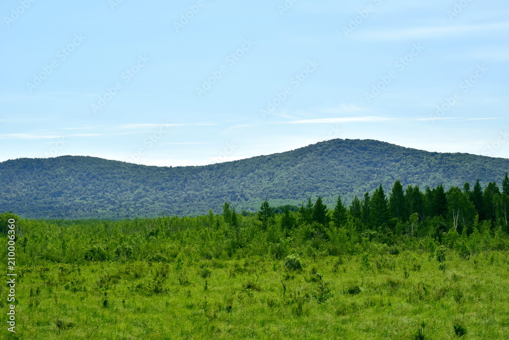 Landscape: in the background of the mountains, in the foreground-forest and green meadow.
