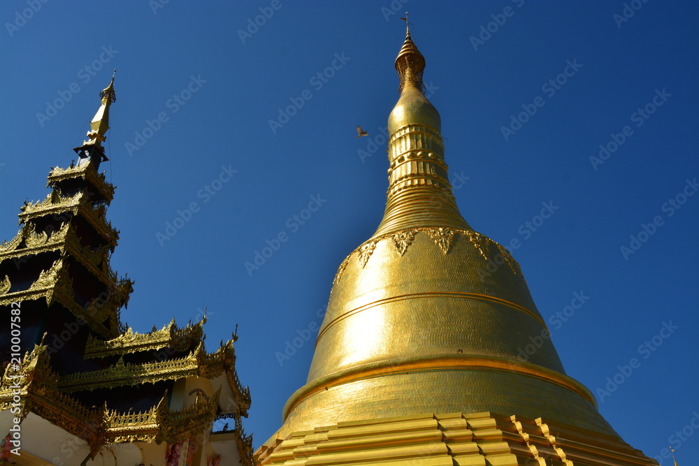 Fototapeta premium ミャンマーバゴーのシュエモードーパゴダ
