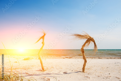 Two palm trees on the tropical beach photo