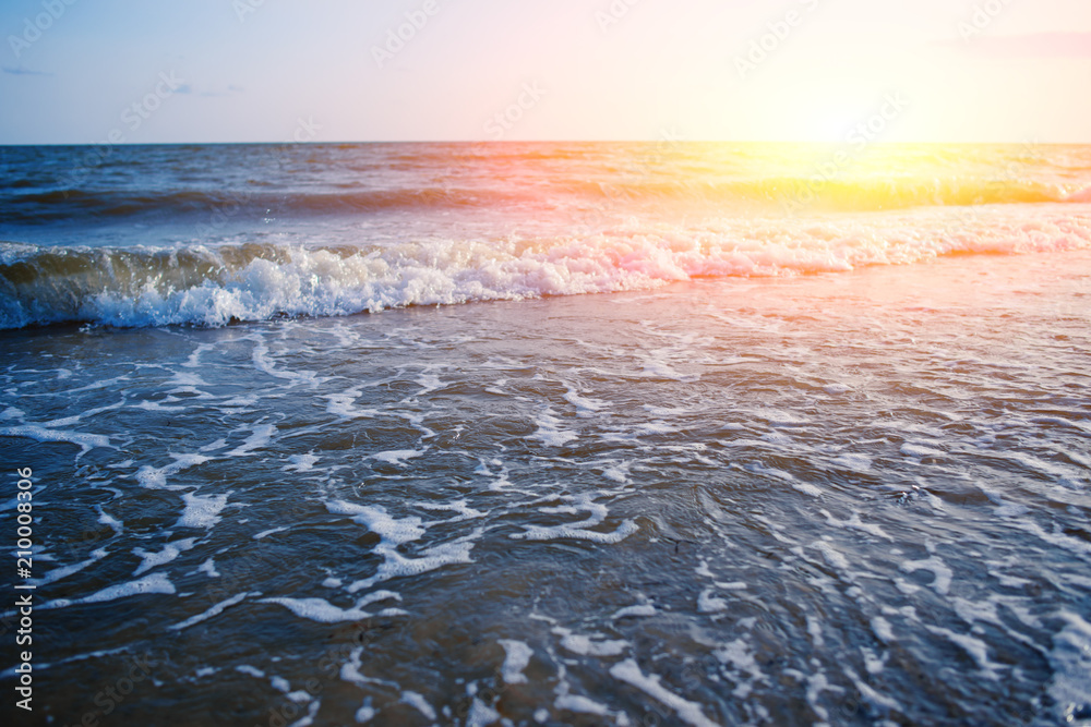 a wild beach and a pigeon sea water on a lovely sunny day