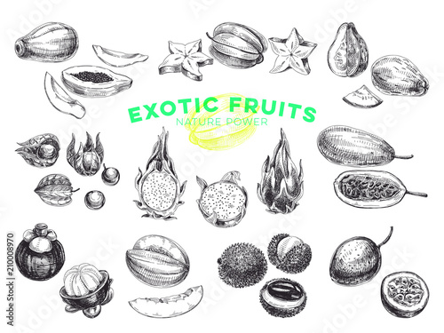 Beautiful vector hand drawn exotic fruits Illustrations set. 
